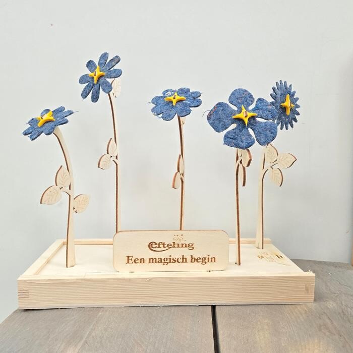 Foto's Blooms out of the Box