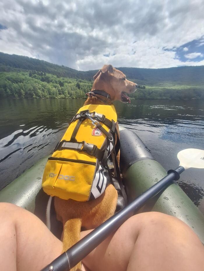 Foto's Rent a Packraft