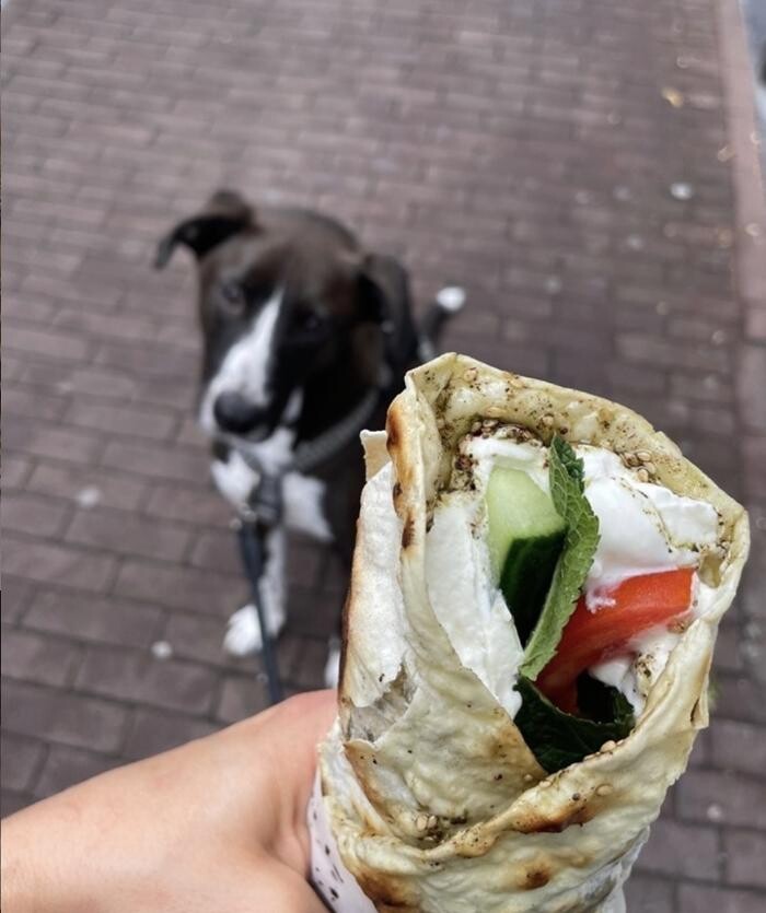 Foto's The Lebanese Sajeria Haarlemmerstraat