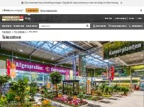 Website Screenshot HORNBACH Tuincentrum Wateringen