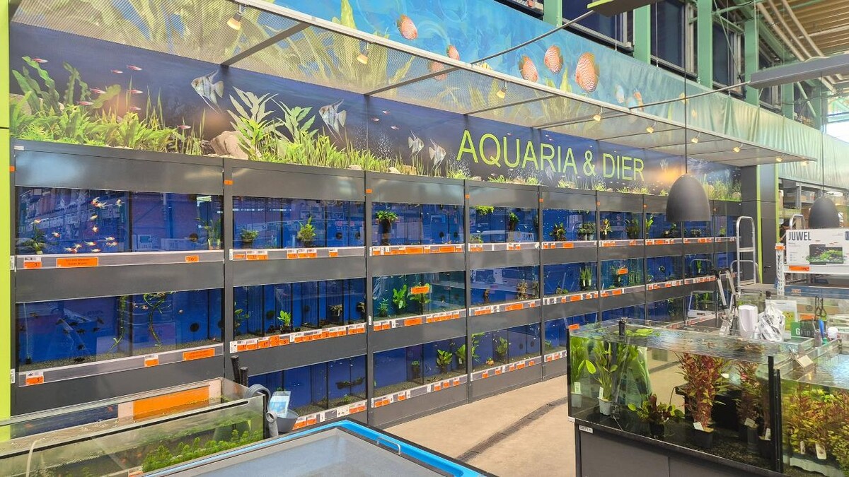 Foto's HORNBACH Dierenafdeling Alblasserdam