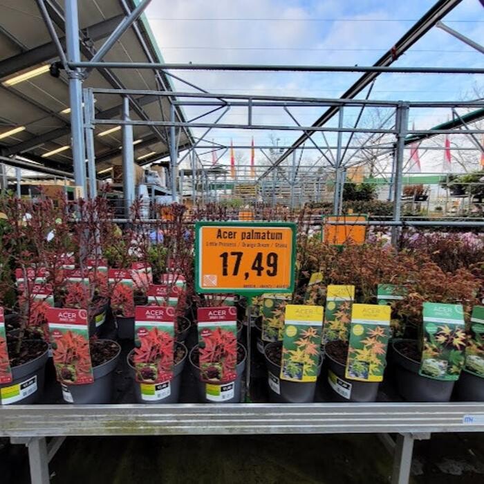Foto's HORNBACH Tuincentrum Best
