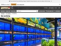 Website Screenshot HORNBACH Dierenafdeling Best