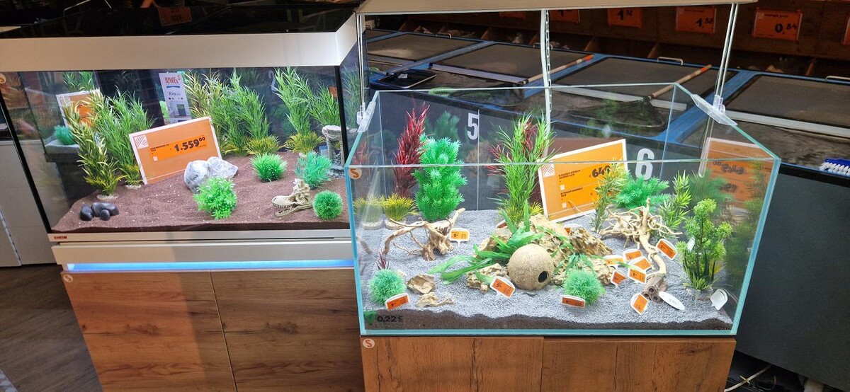 Foto's HORNBACH Dierenafdeling Amsterdam