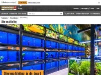 Website Screenshot HORNBACH Dierenafdeling Zwolle