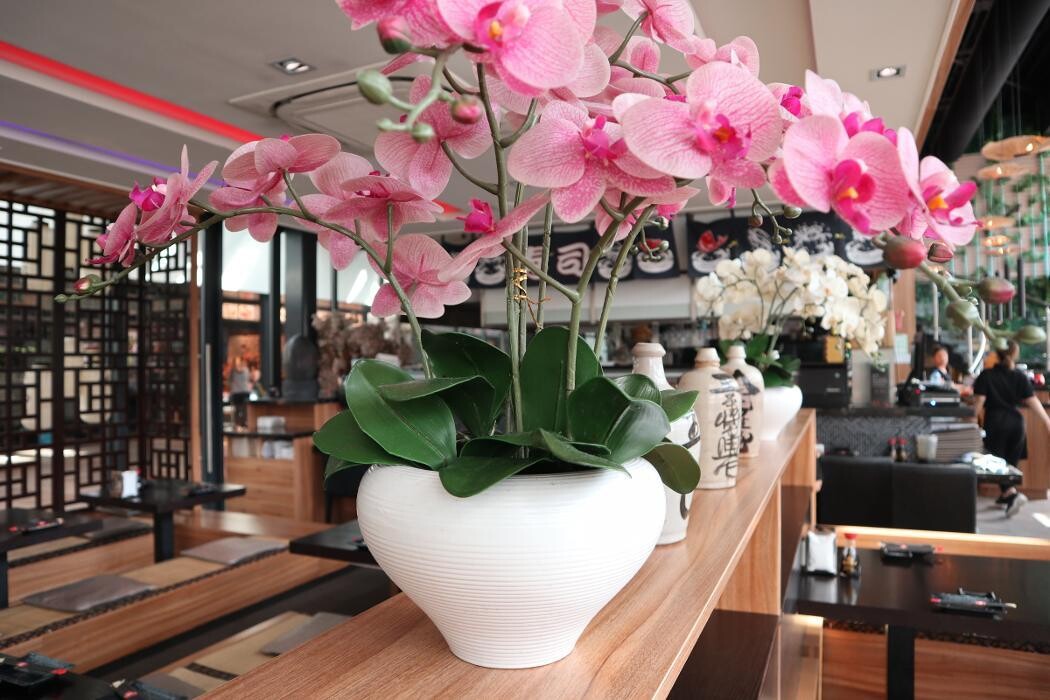 Foto's Tanuki Japans Eetcafé Gelderlandplein