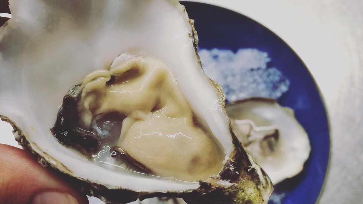 Foto's Vigo Seafoodbar