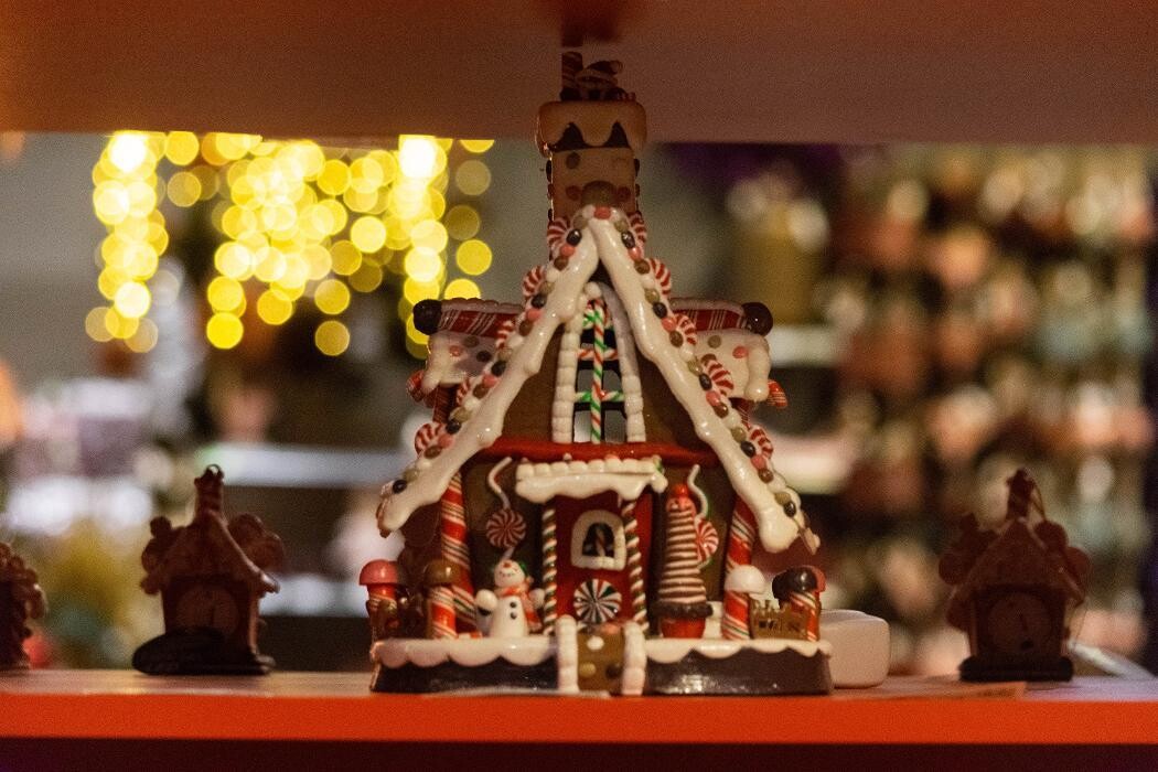 Foto's Intratuin Pijnacker
