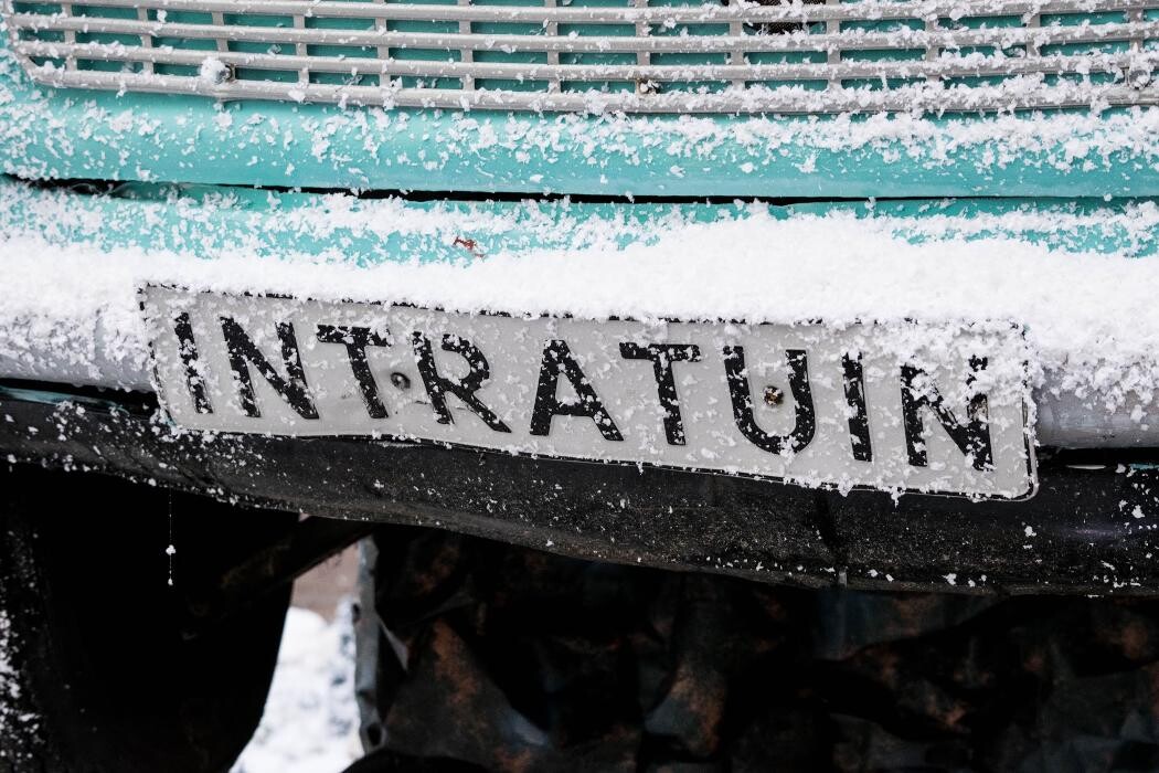 Foto's Intratuin Pijnacker