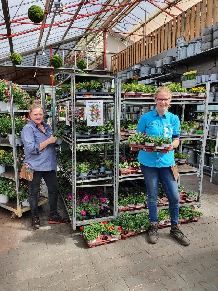 Foto's Intratuin Pijnacker