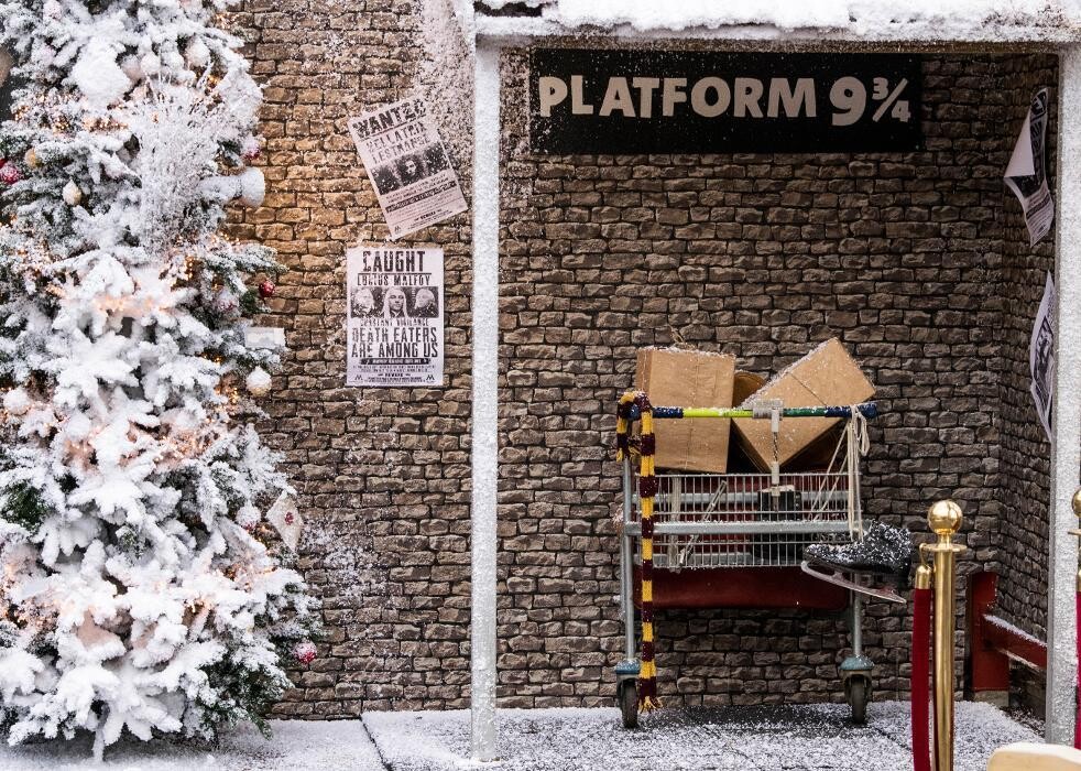 Foto's Intratuin Pijnacker