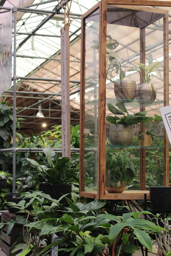 Foto's Intratuin Malden