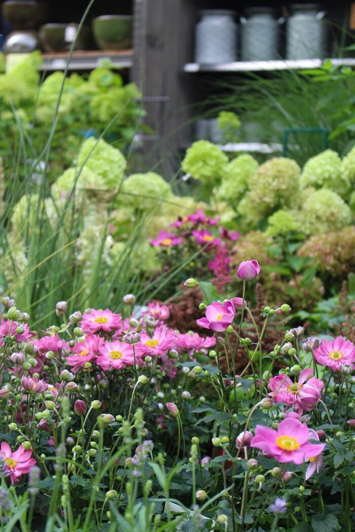 Foto's Intratuin Malden