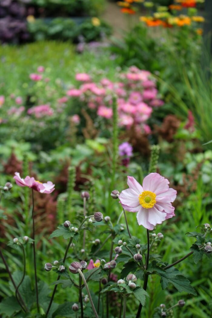 Foto's Intratuin Malden