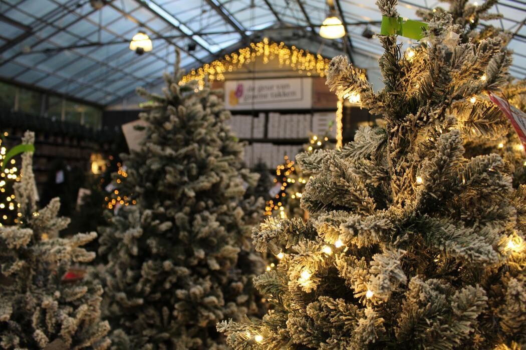 Foto's Intratuin Malden