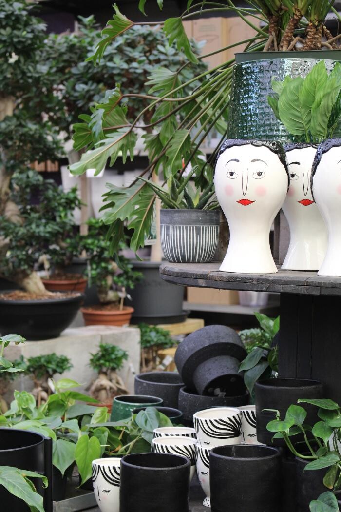 Foto's Intratuin Malden