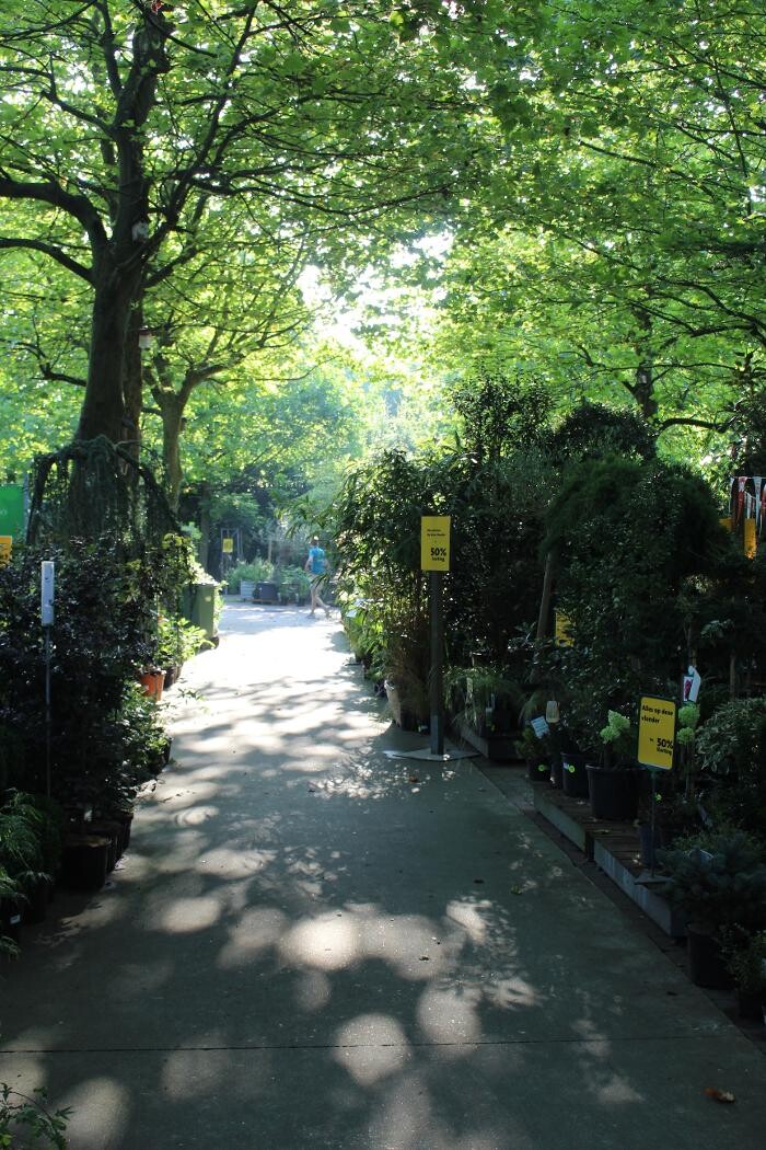 Foto's Intratuin Malden