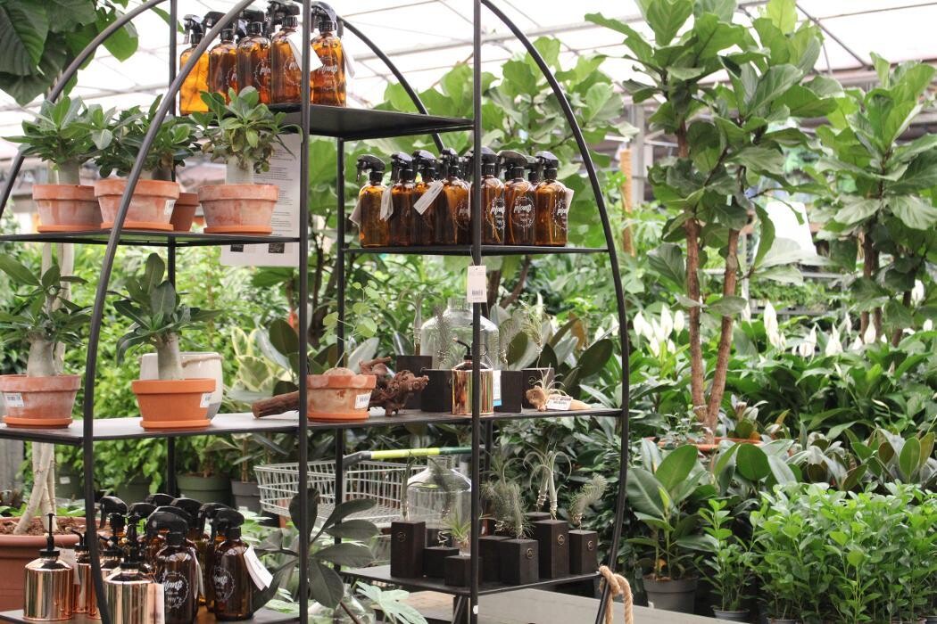 Foto's Intratuin Malden