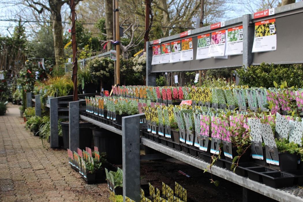 Foto's Intratuin Malden