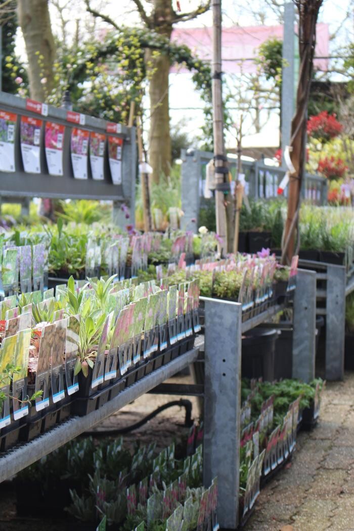 Foto's Intratuin Malden