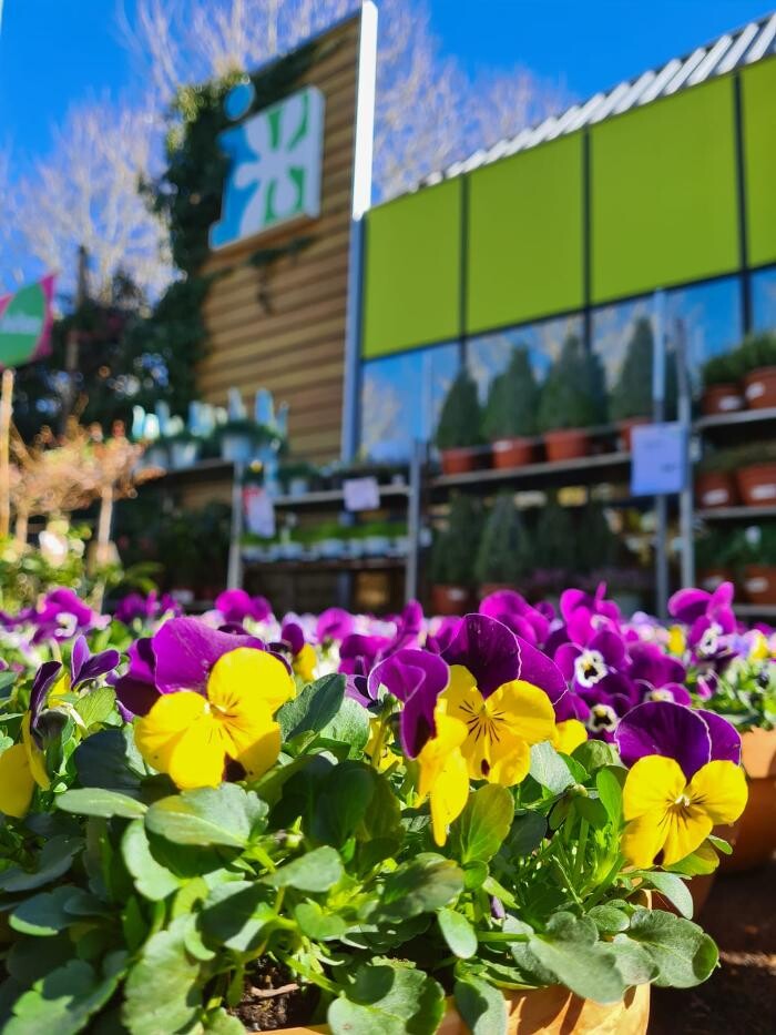 Foto's Intratuin Malden