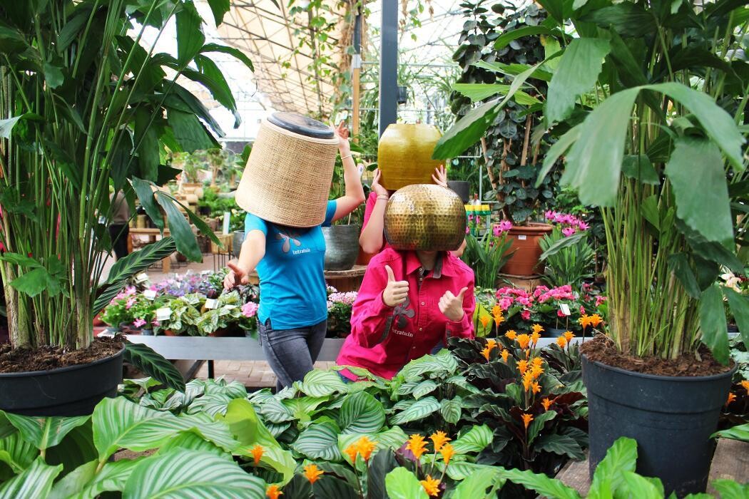 Foto's Intratuin Malden