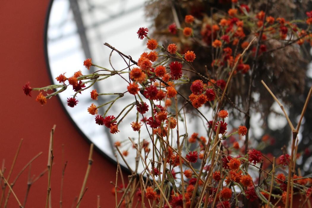 Foto's Intratuin Malden