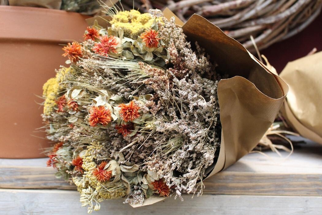 Foto's Intratuin Malden