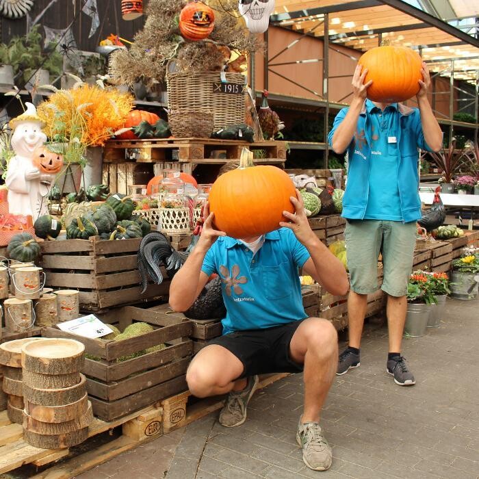 Foto's Intratuin Malden