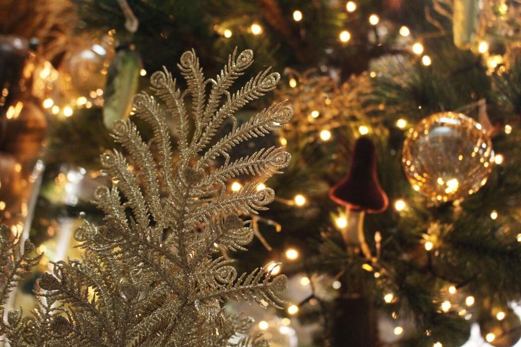 Foto's Intratuin Malden