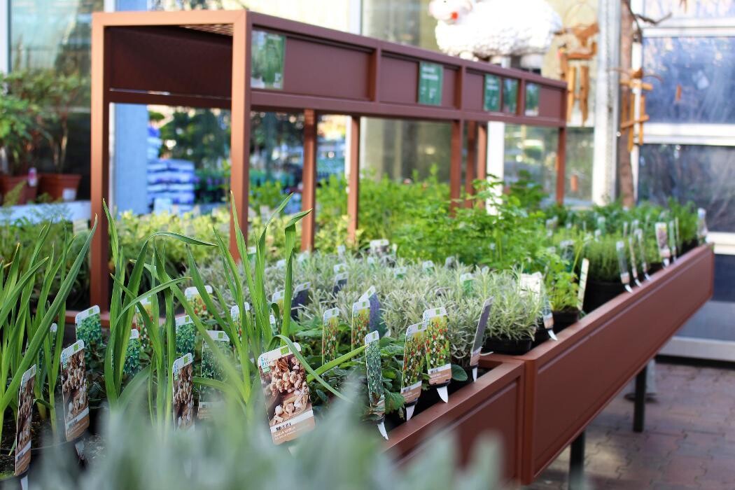 Foto's Intratuin Malden