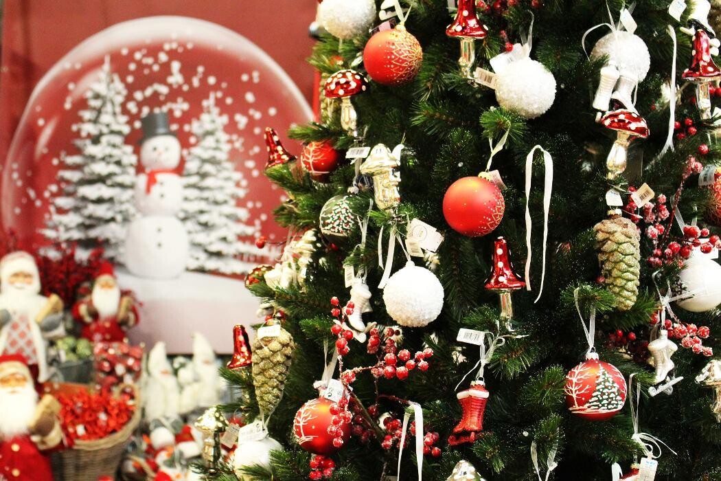 Foto's Intratuin Malden