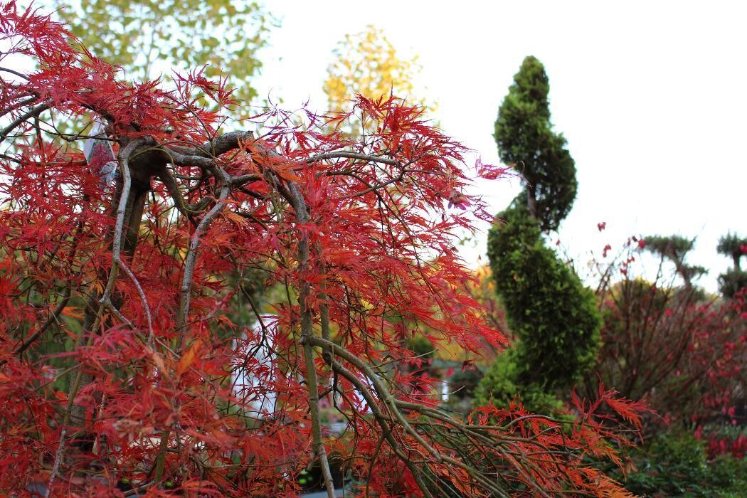 Foto's Intratuin Malden