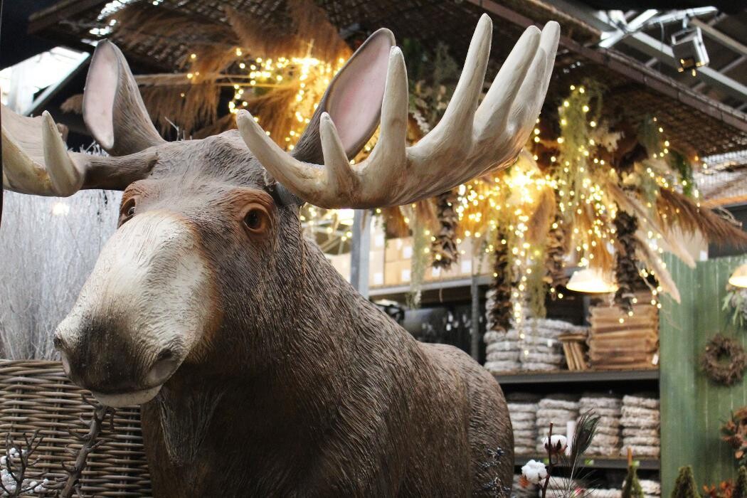 Foto's Intratuin Malden