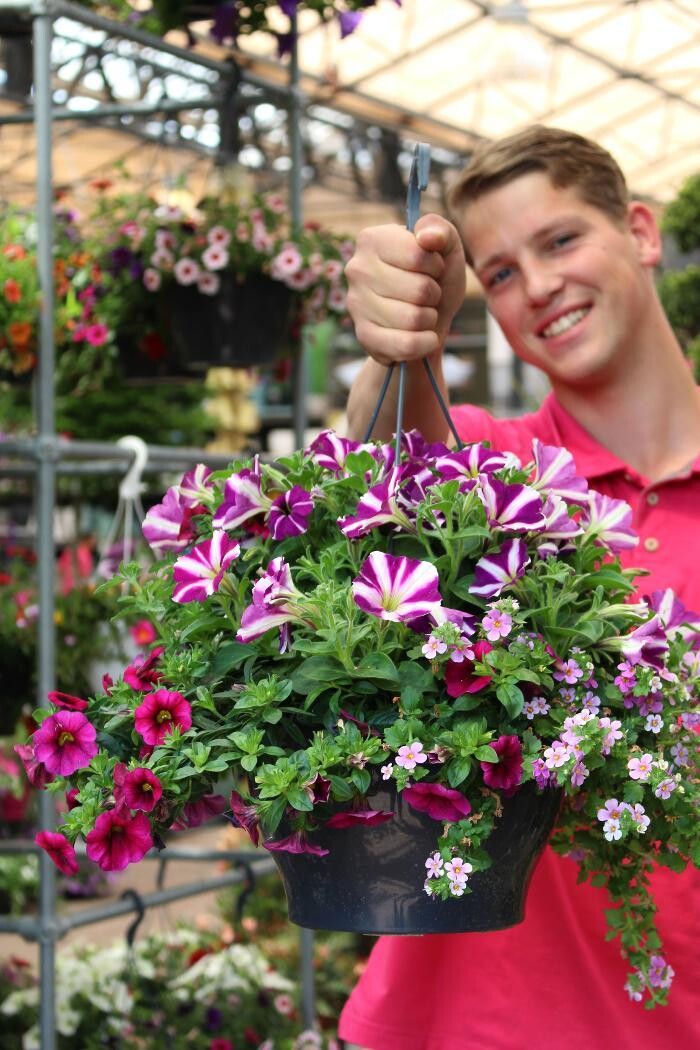 Foto's Intratuin Malden