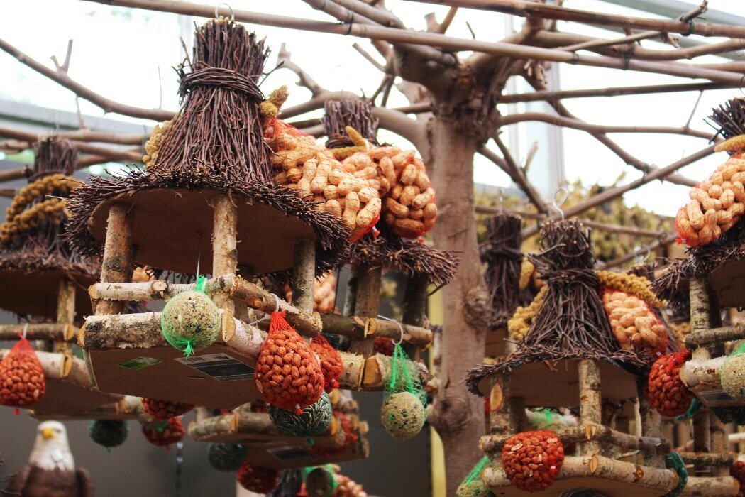 Foto's Intratuin Malden