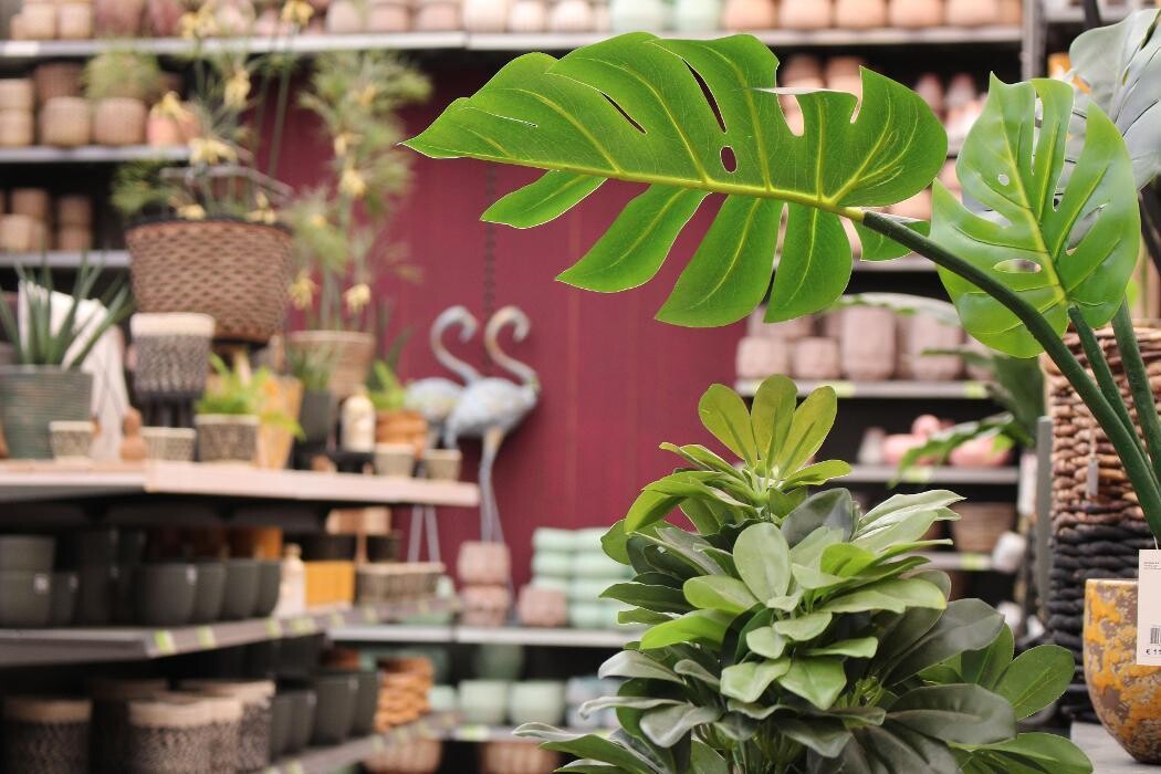 Foto's Intratuin Malden