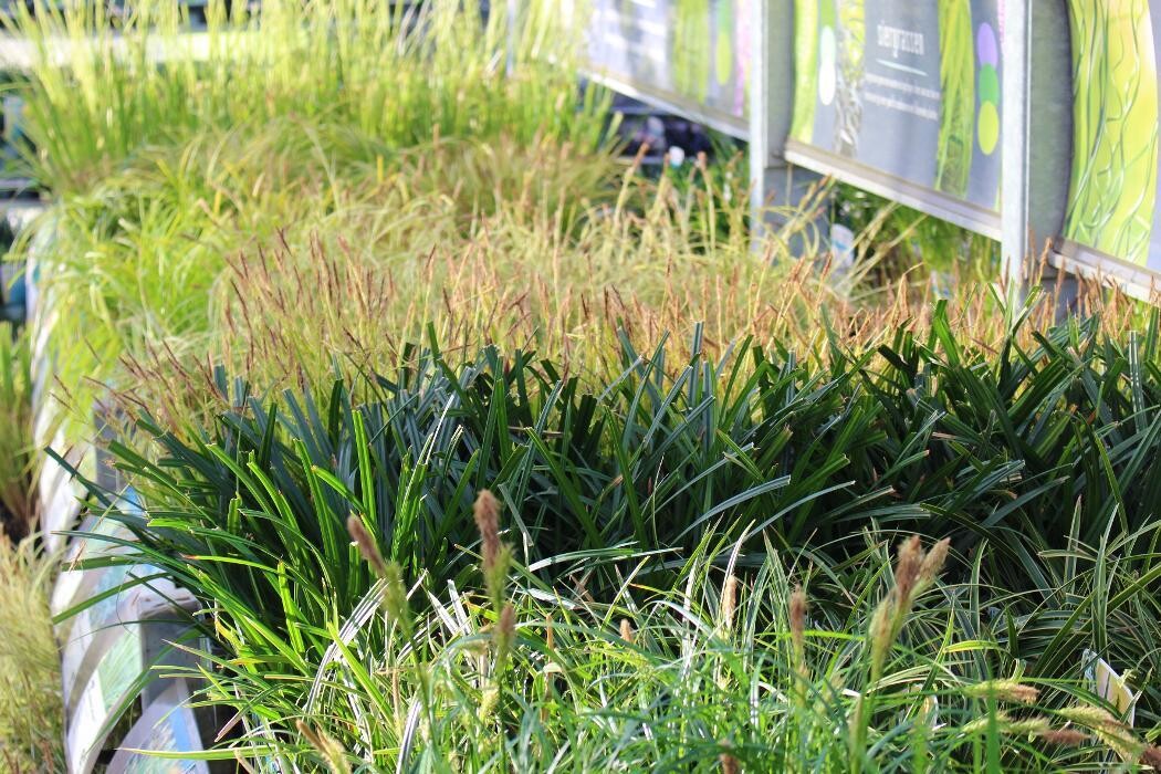 Foto's Intratuin Malden