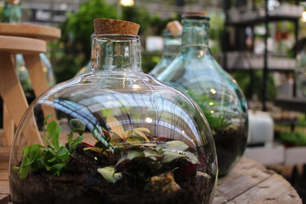 Foto's Intratuin Malden