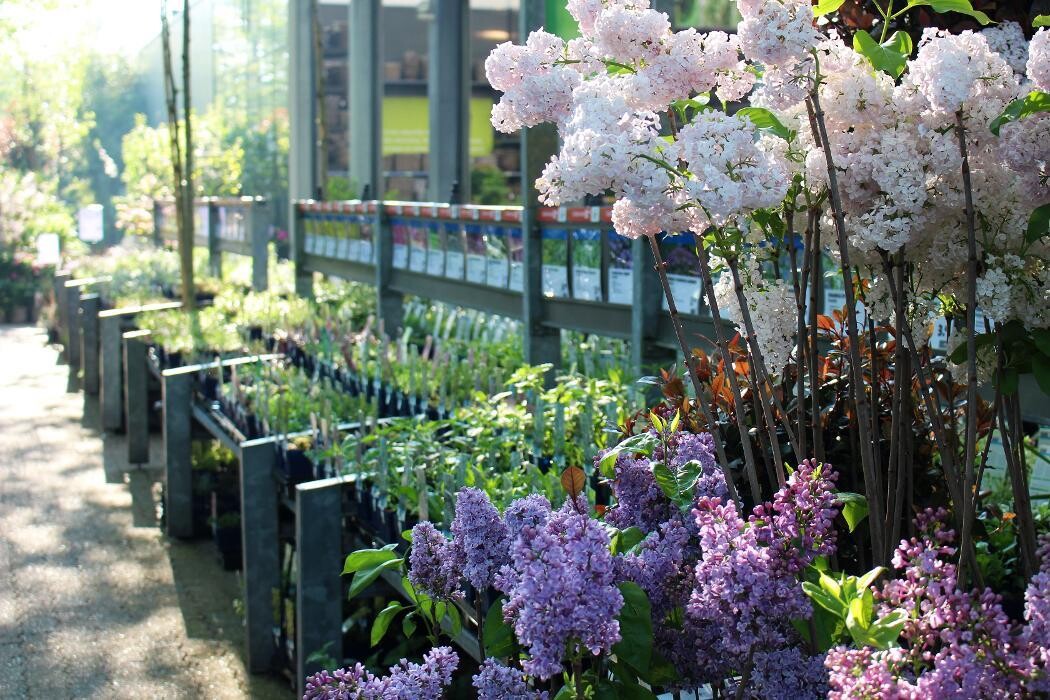 Foto's Intratuin Malden