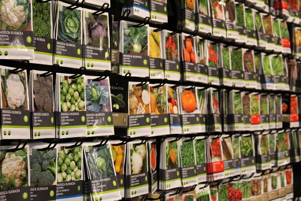 Foto's Intratuin Malden