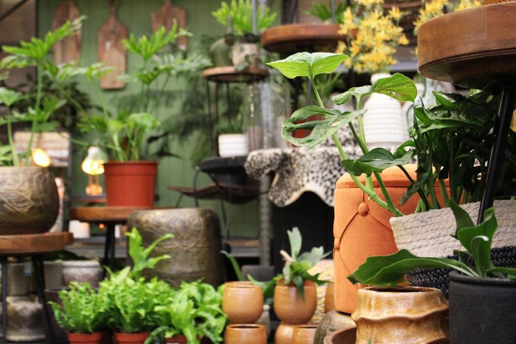 Foto's Intratuin Malden