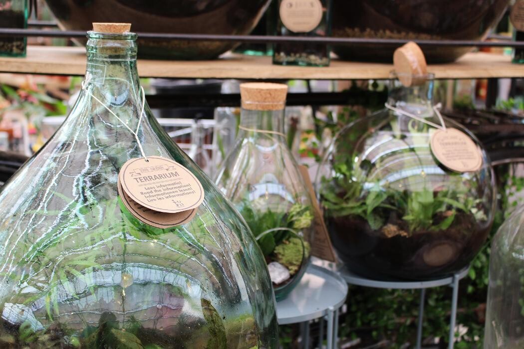 Foto's Intratuin Malden