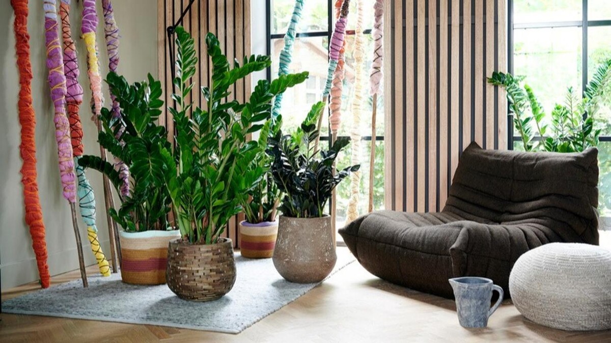 Foto's Tuincentrum de Oude Tol