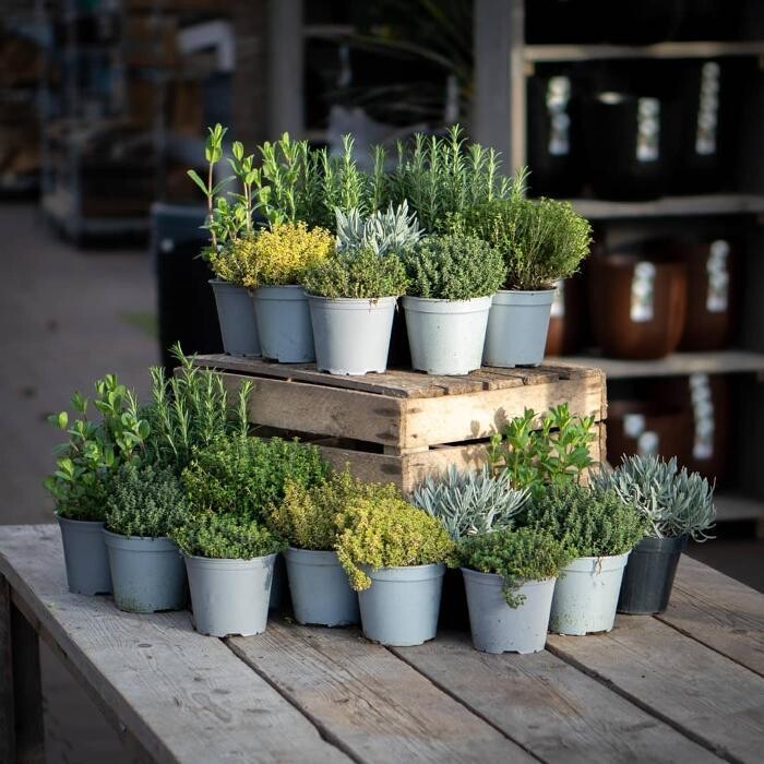Foto's Tuincentrum de Oude Tol