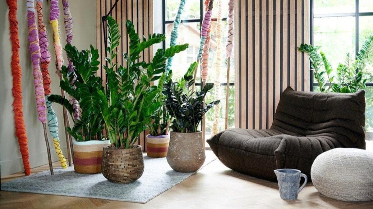 Foto's Tuincentrum de Oude Tol