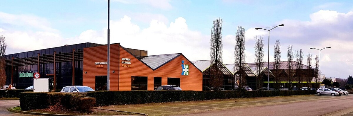 Foto's Intratuin Veghel