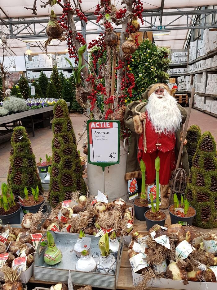 Foto's Intratuin Veghel