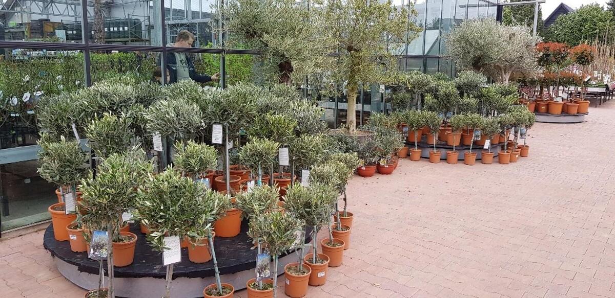 Foto's Intratuin Veghel