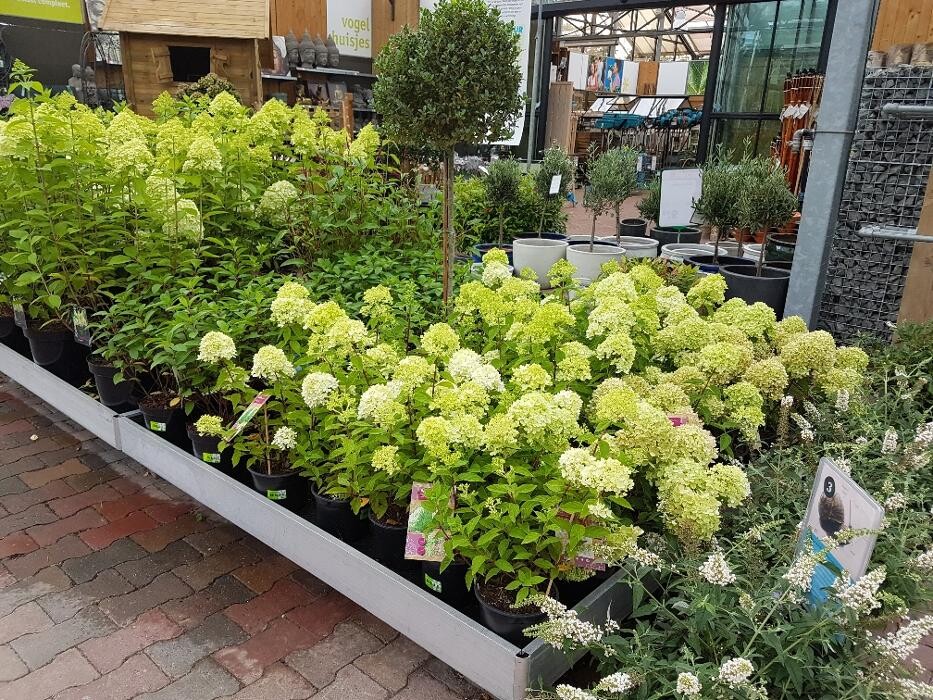 Foto's Intratuin Veghel